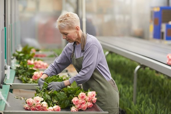 Pourquoi offrir une rose éternelle à une femme ?